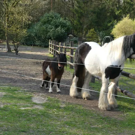 Gaestehaus Bommelsen Casa de hóspedes