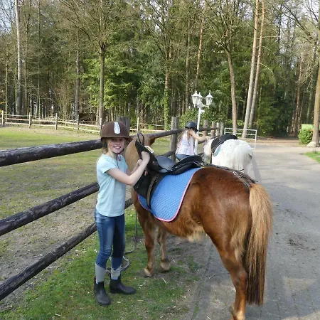 Casa de hóspedes Gaestehaus Bommelsen Walsrode
